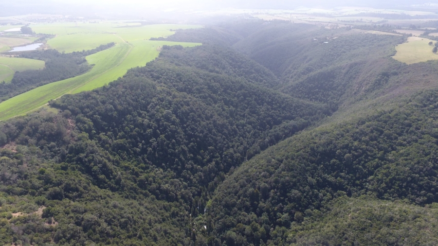  Bedroom Property for Sale in Knysna Rural Western Cape
